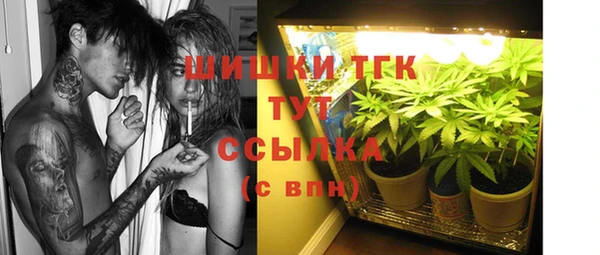 таблы Карпинск