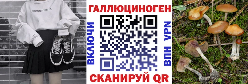 Купить  Гудермес  Псилоцибиновые грибы Psilocybe 